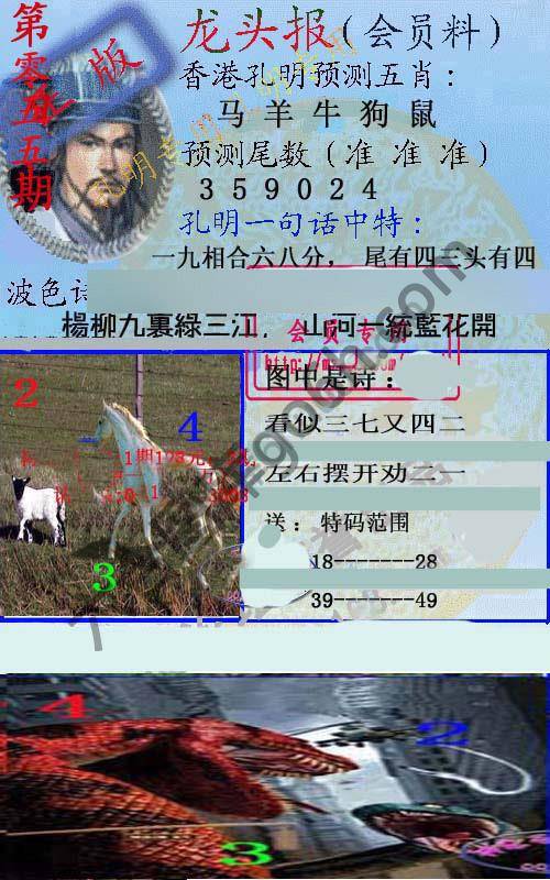 龙头报