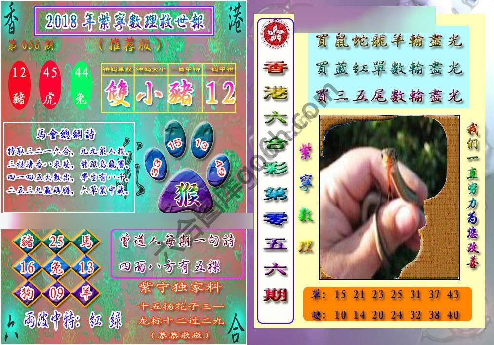 数理救世报