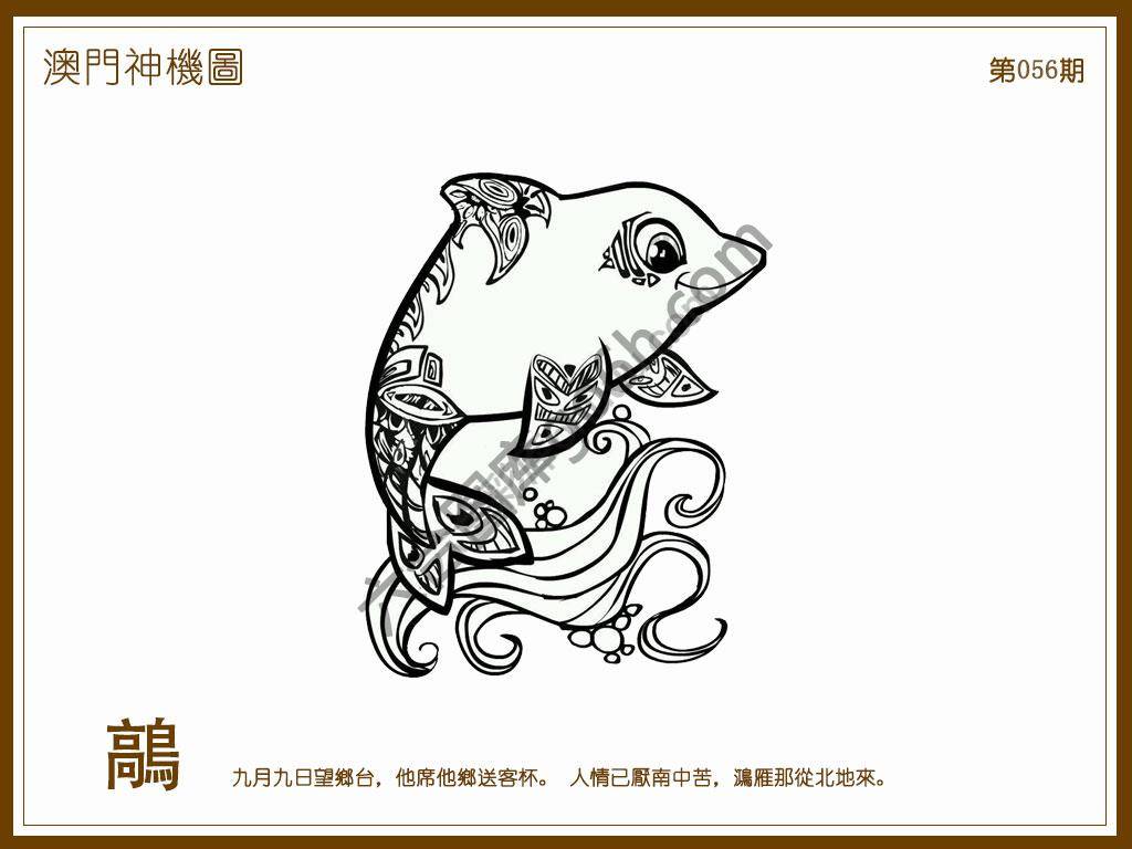 澳门神机图