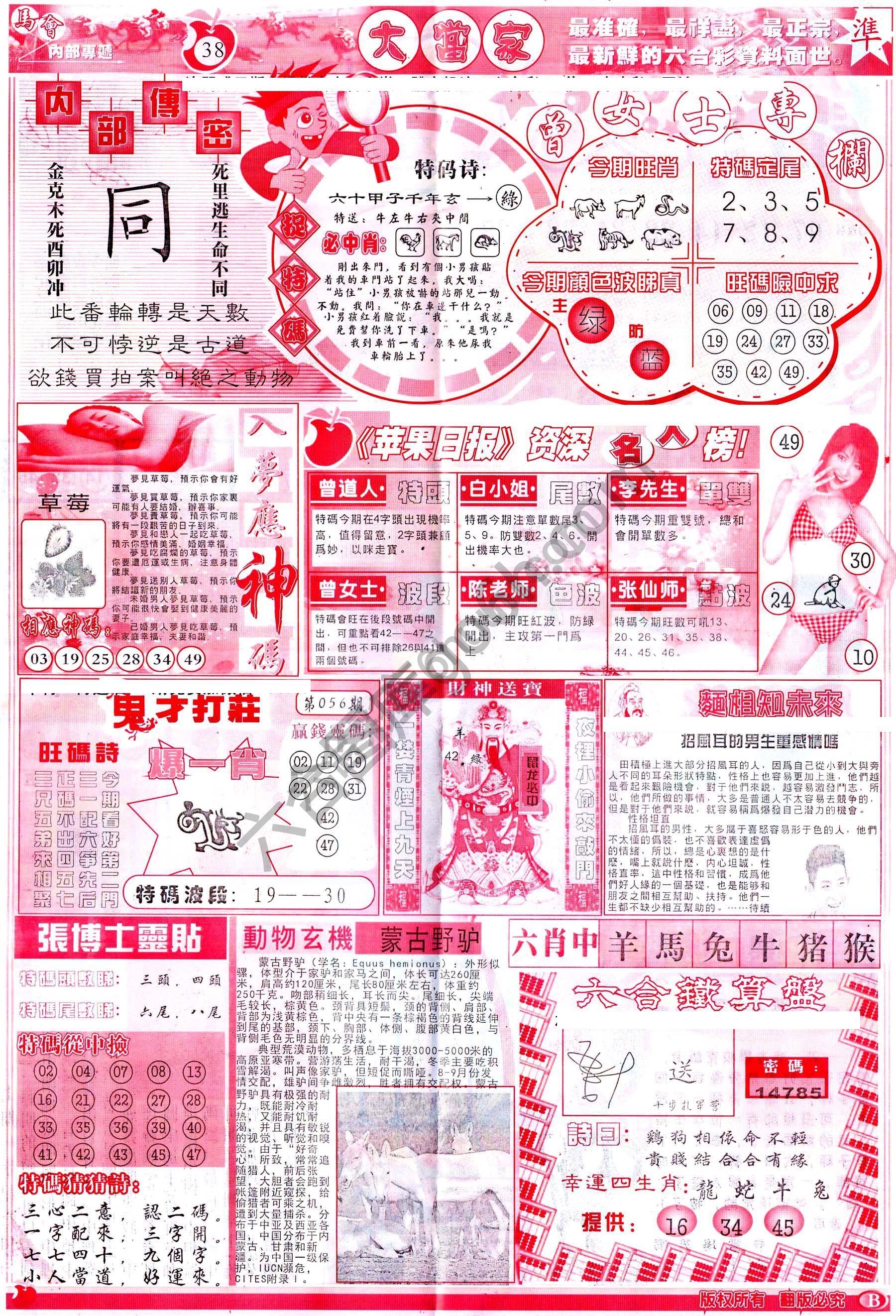 大当家