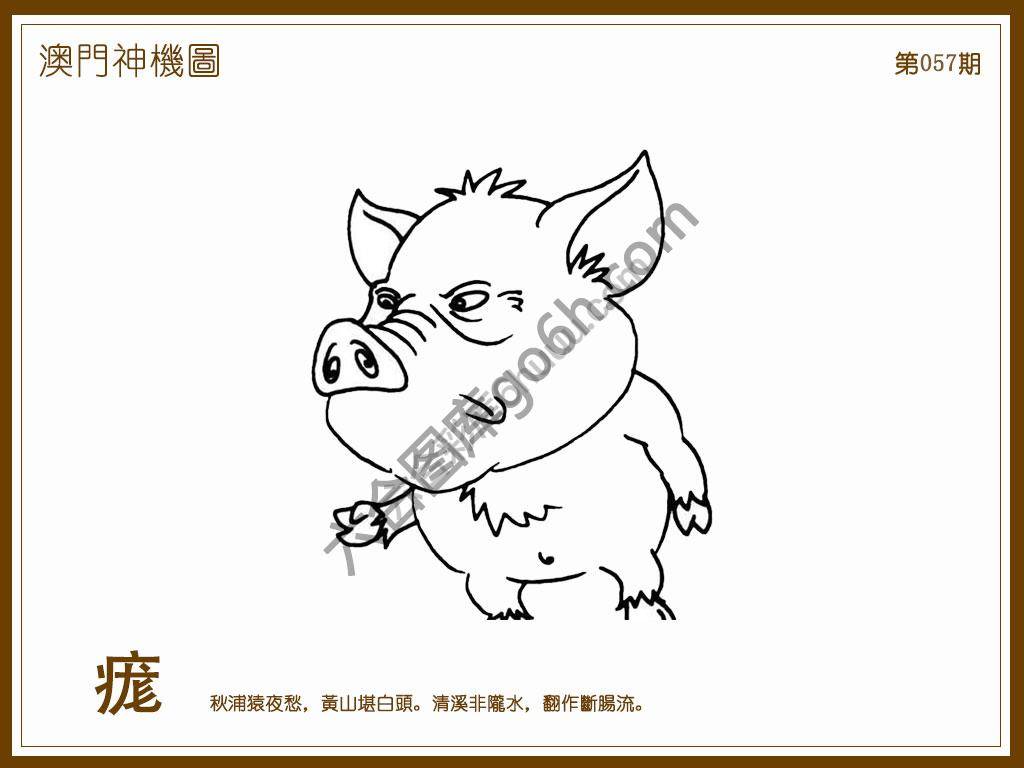澳门神机图