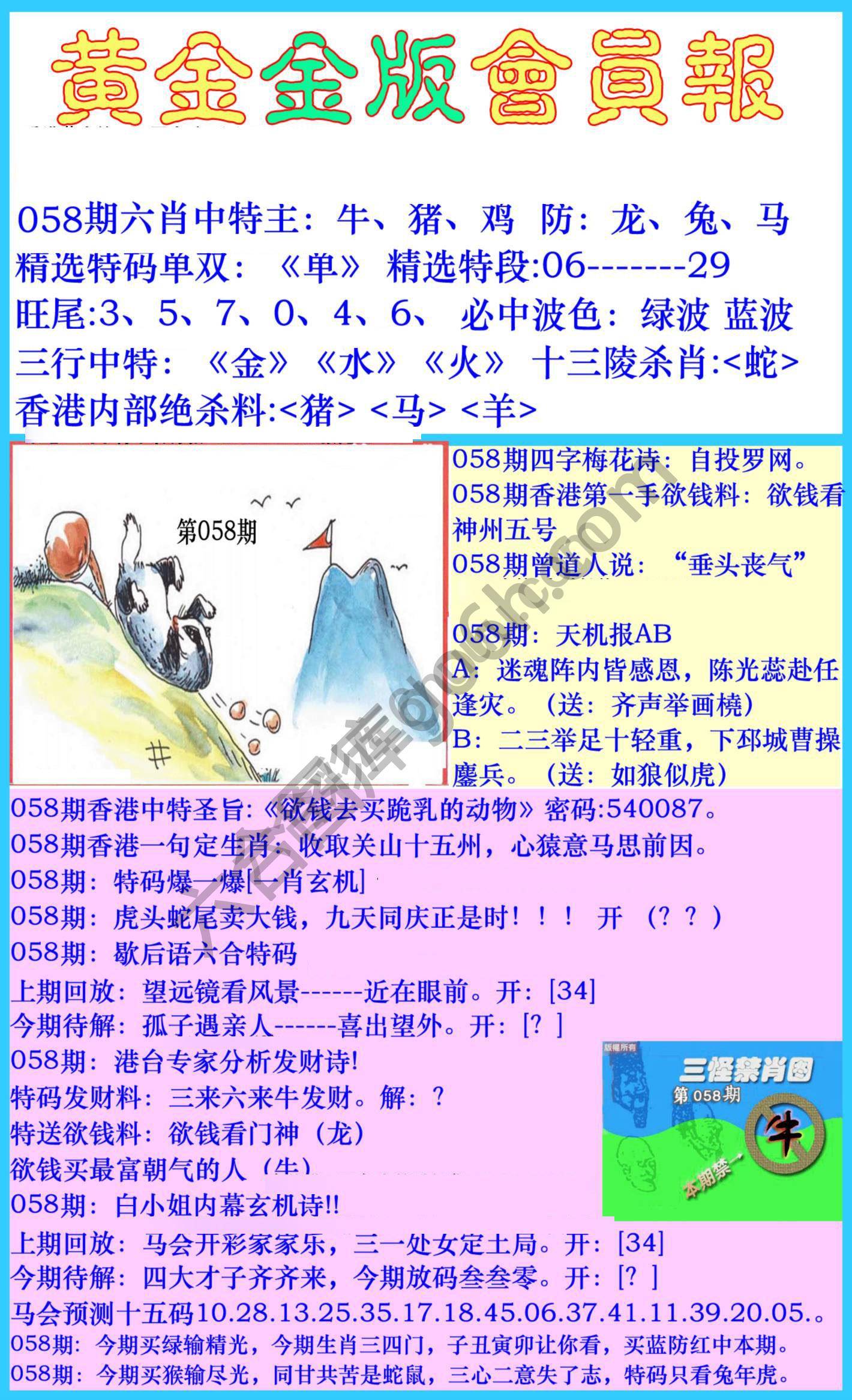黄金金版会员报