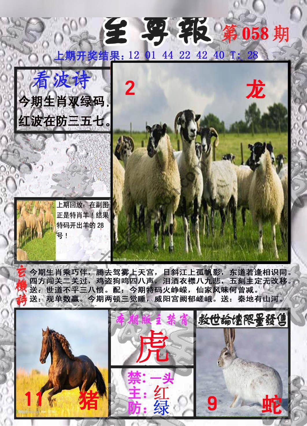 至尊报