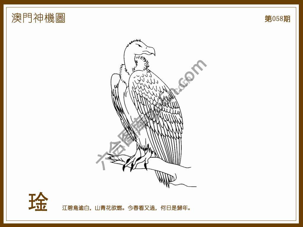 澳门神机图