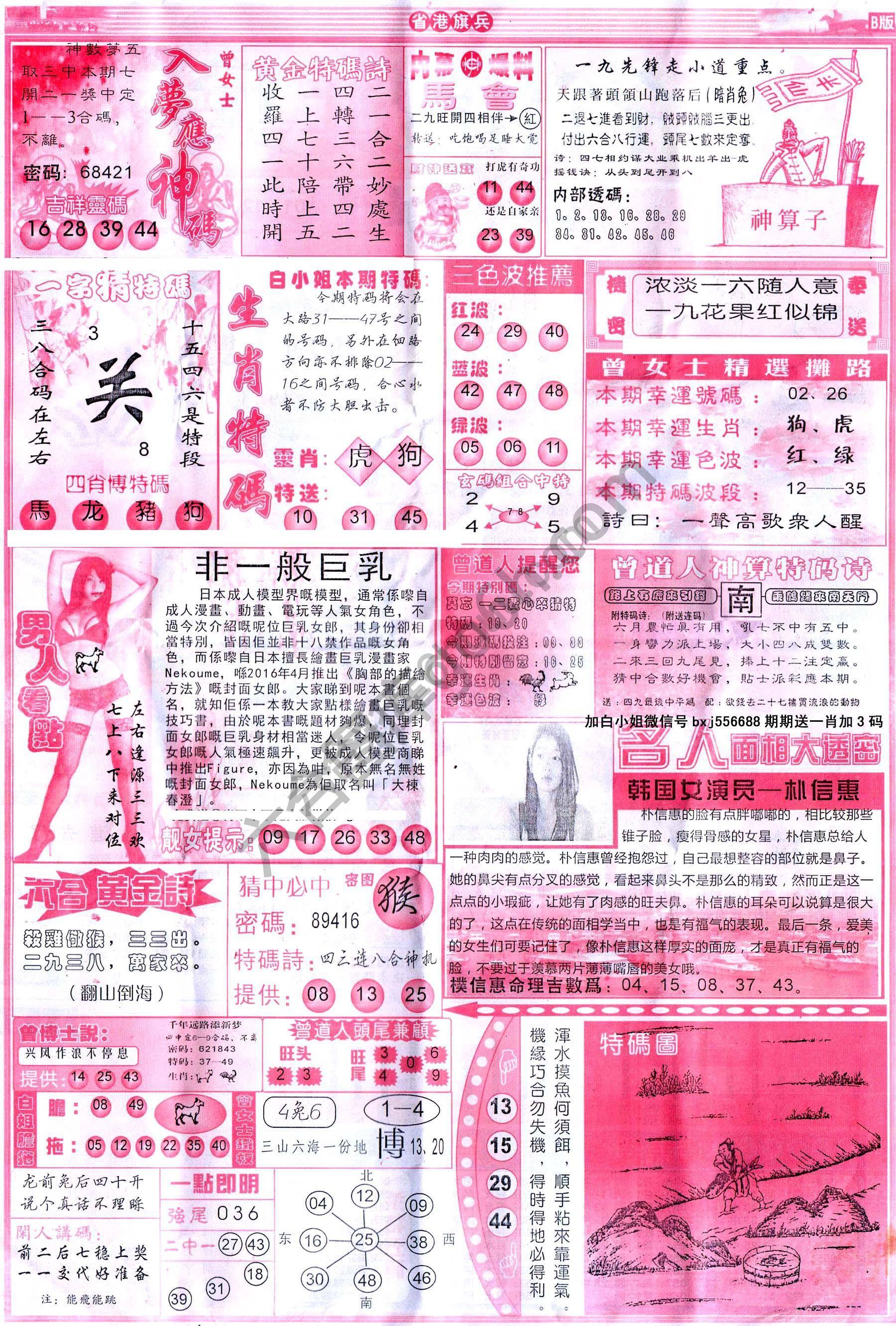 省港旗兵