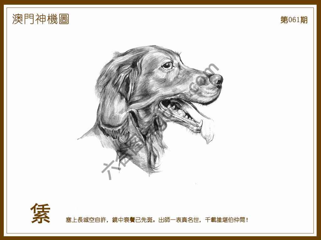 澳门神机图