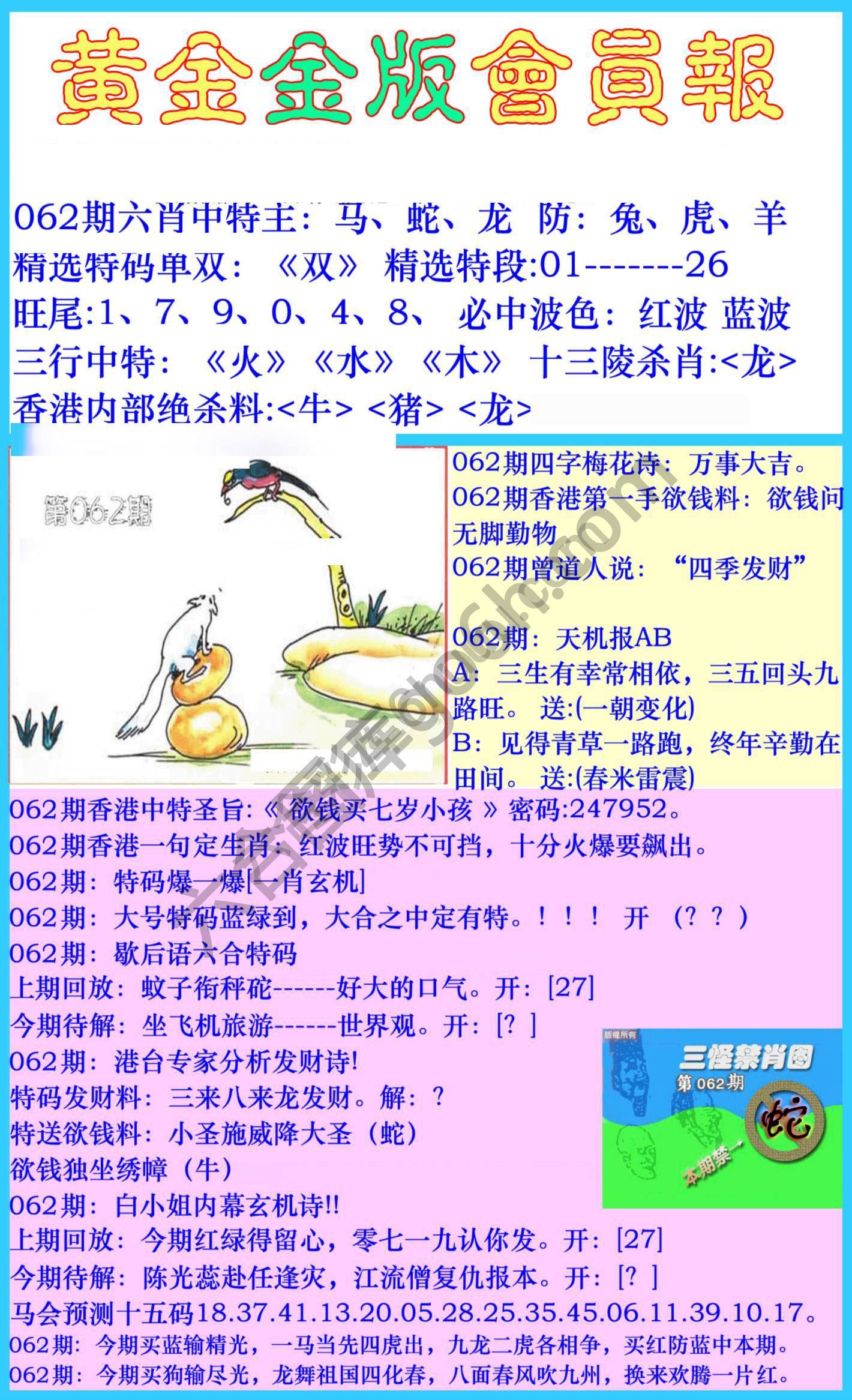 黄金金版会员报