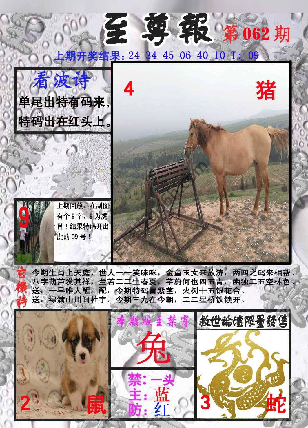 至尊报