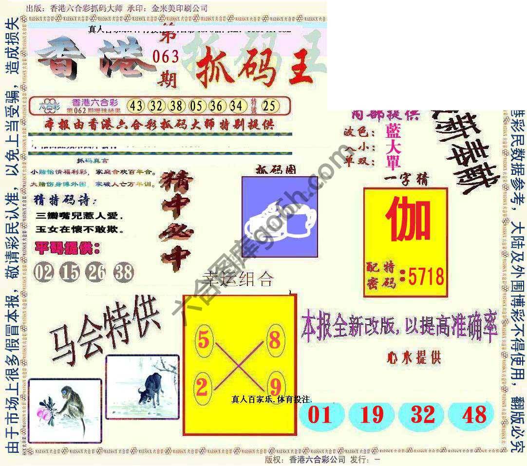 新抓码王