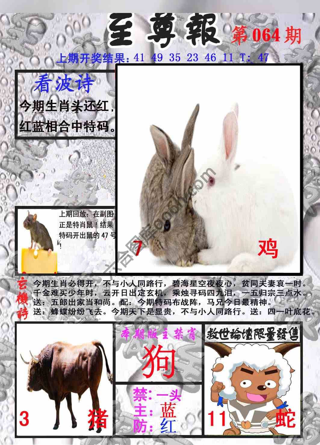 至尊报