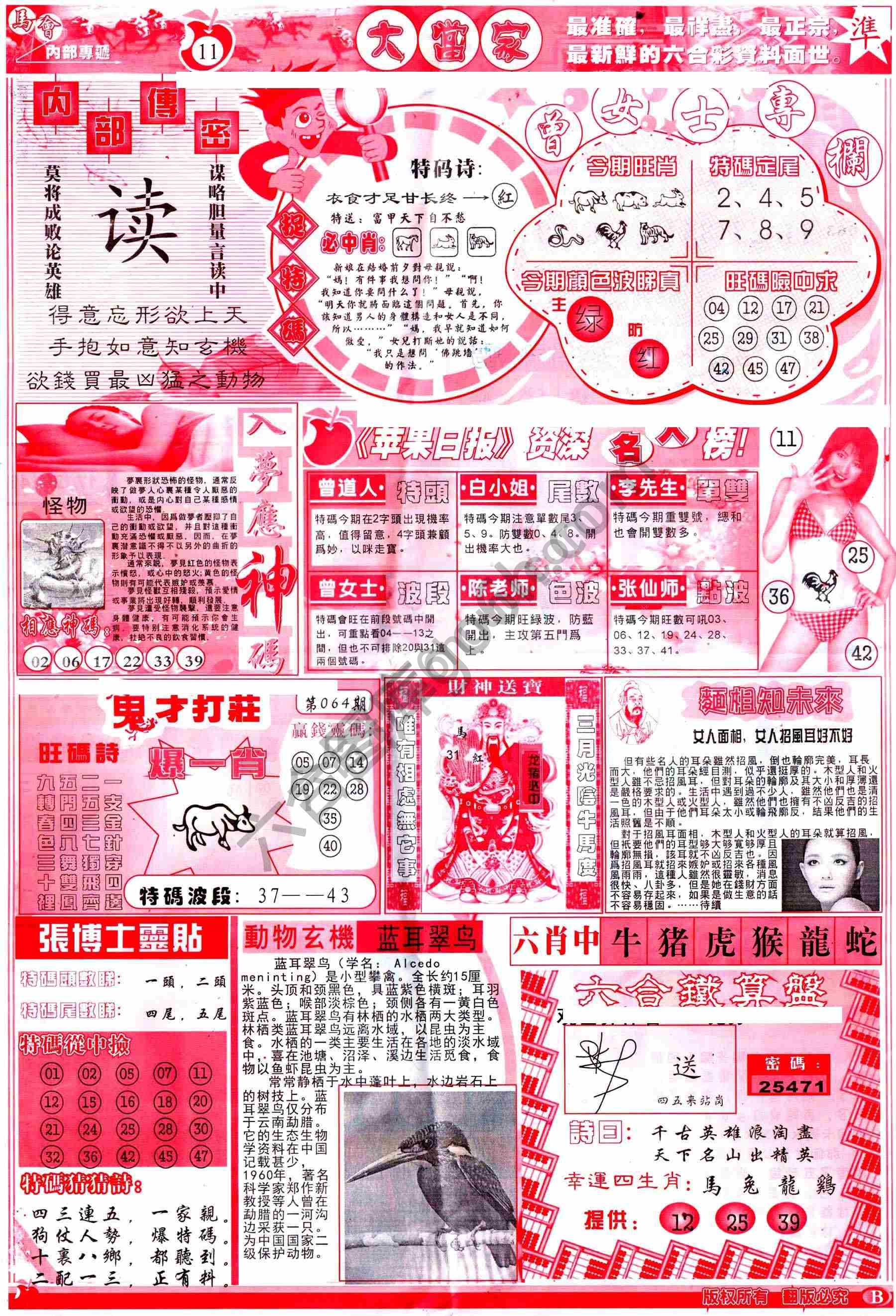 大当家