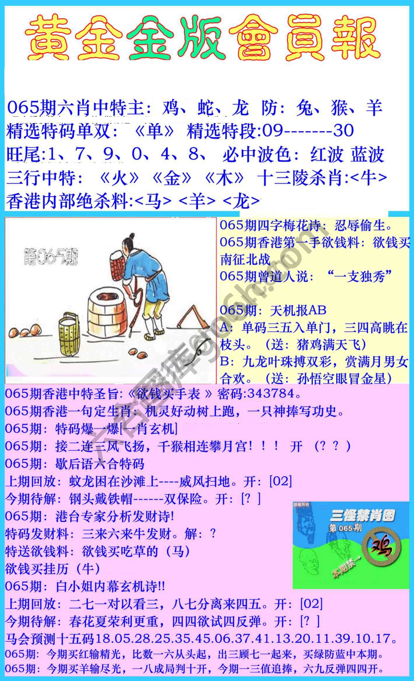 黄金金版会员报