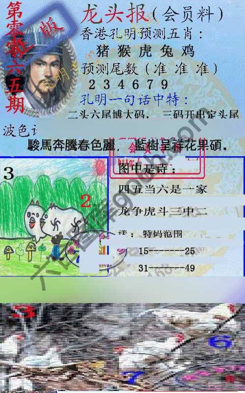 龙头报