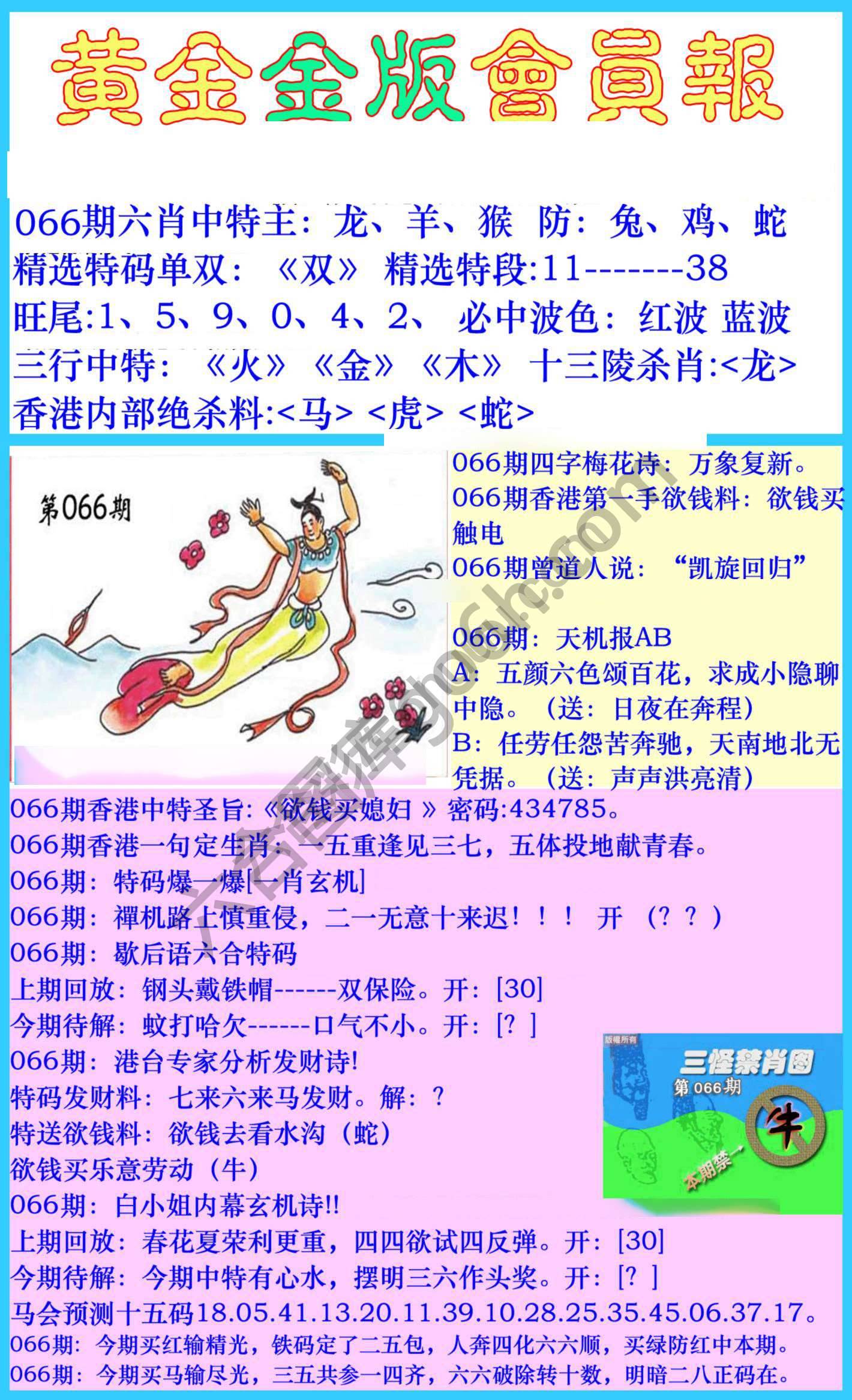黄金金版会员报