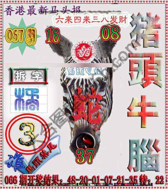 香港马头报
