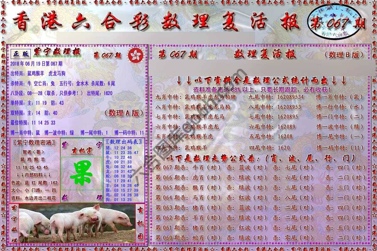 数理复活报