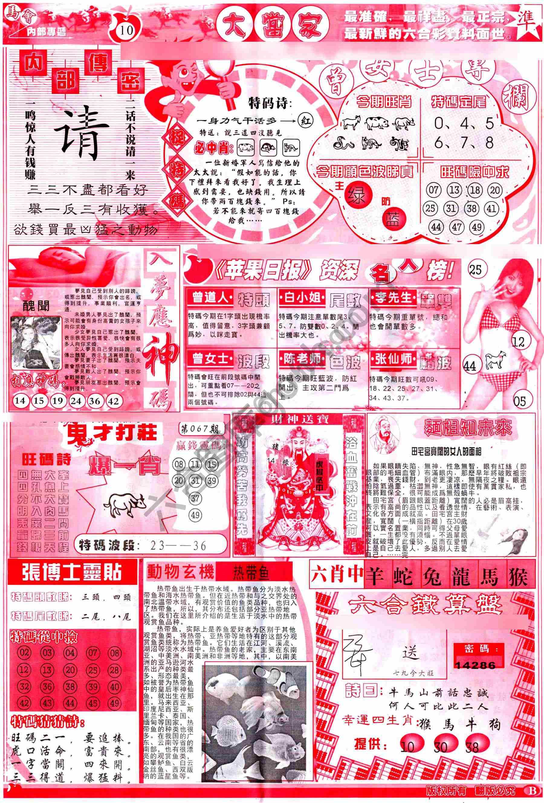 大当家