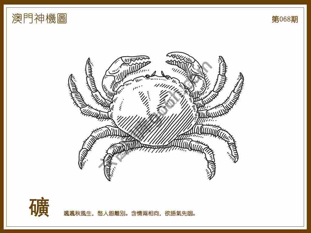 澳门神机图