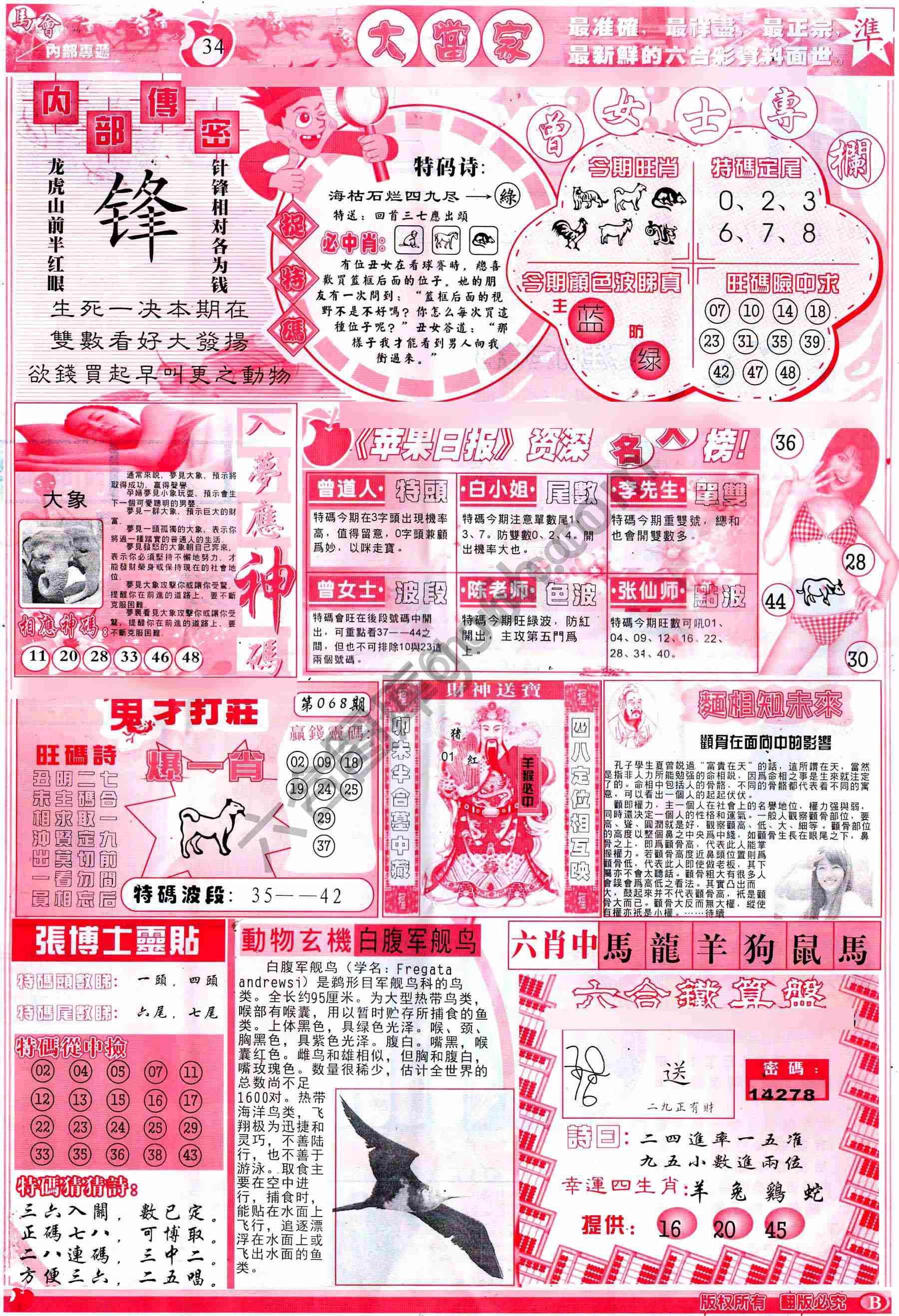 大当家