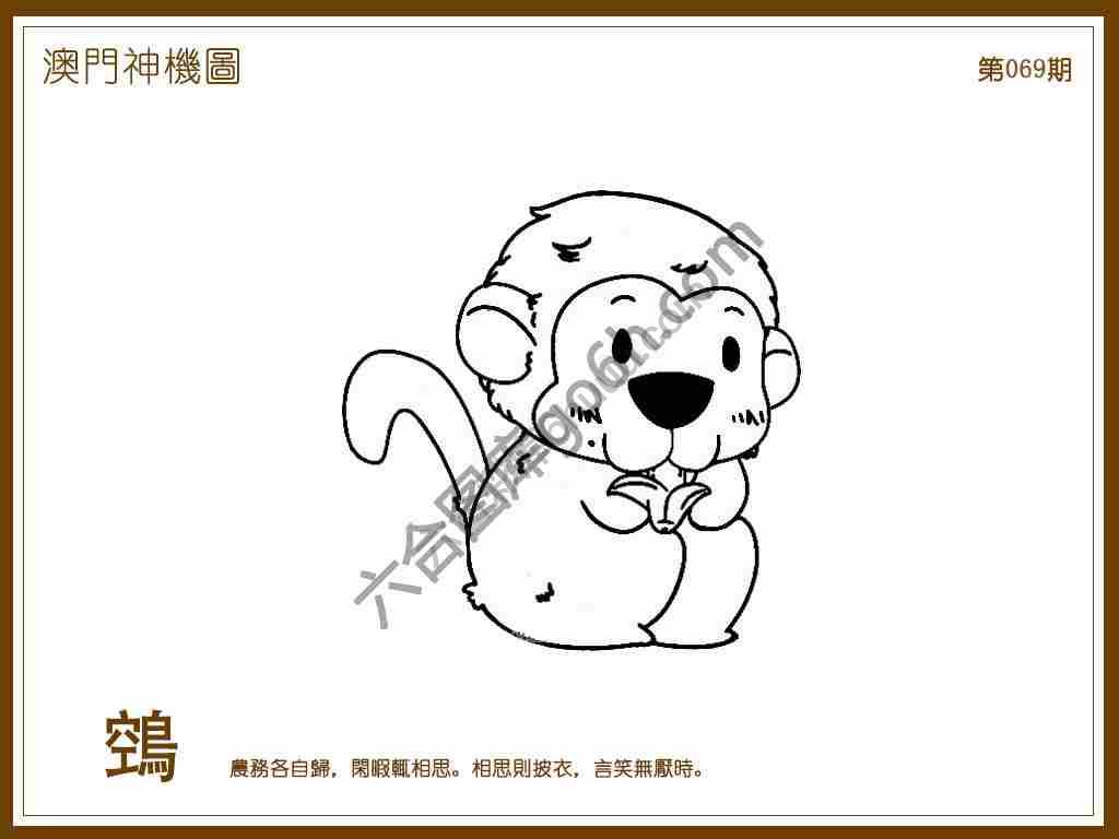 澳门神机图