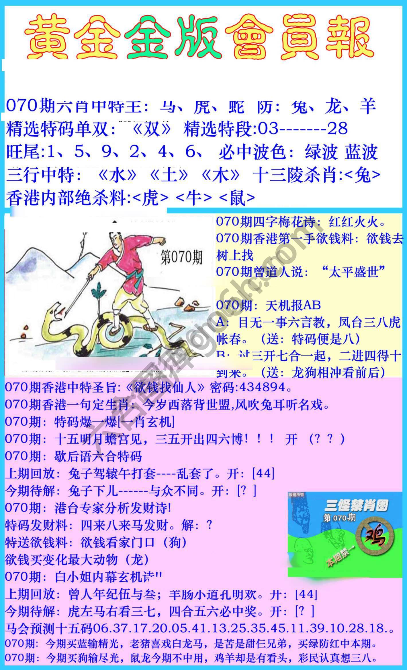 黄金金版会员报