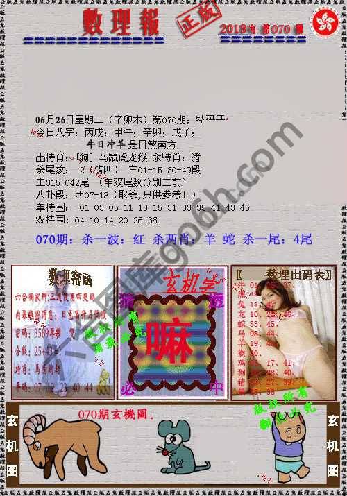 数理报