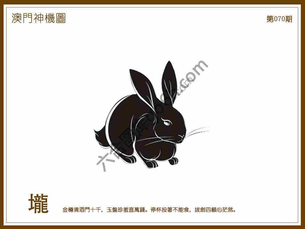澳门神机图