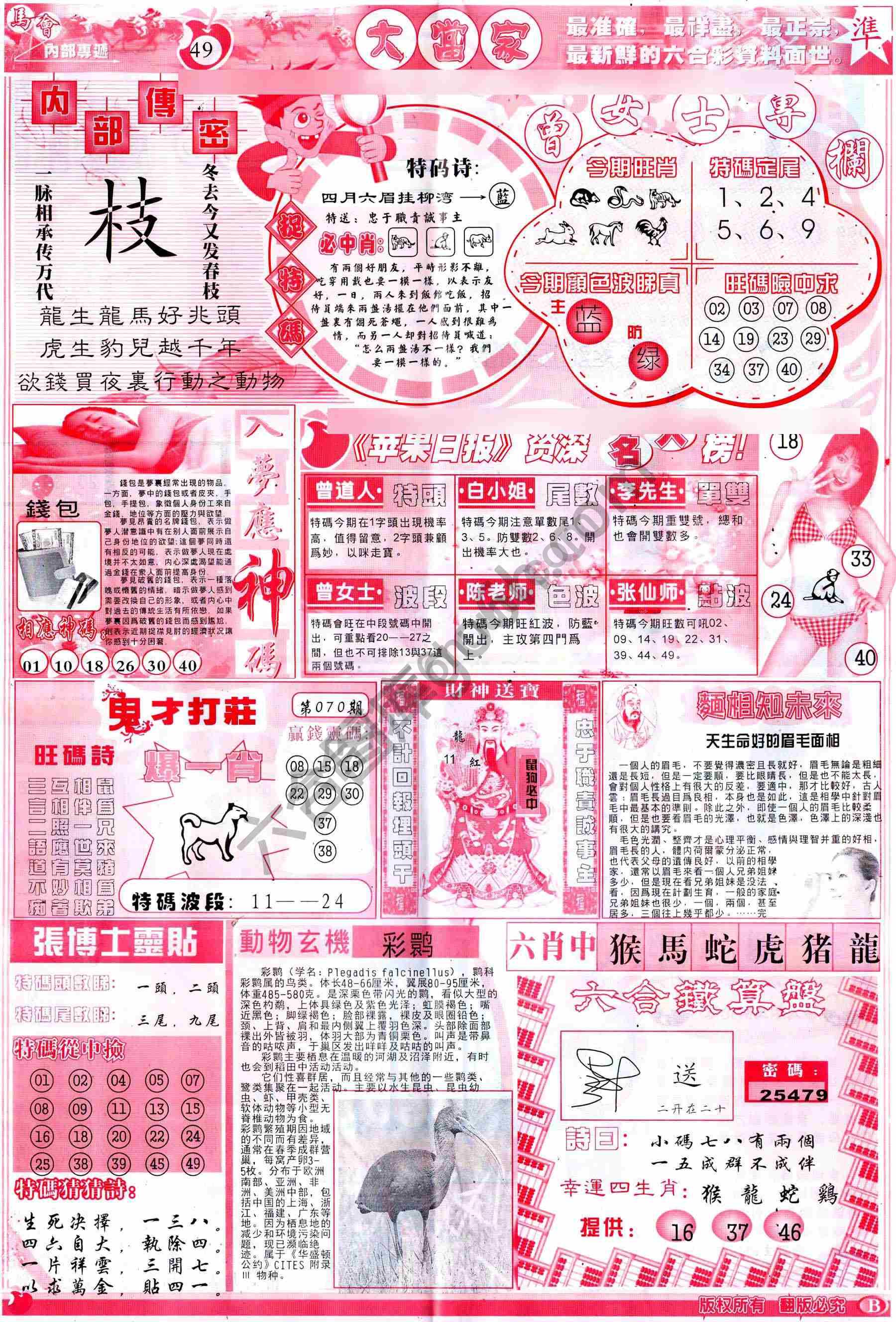 大当家