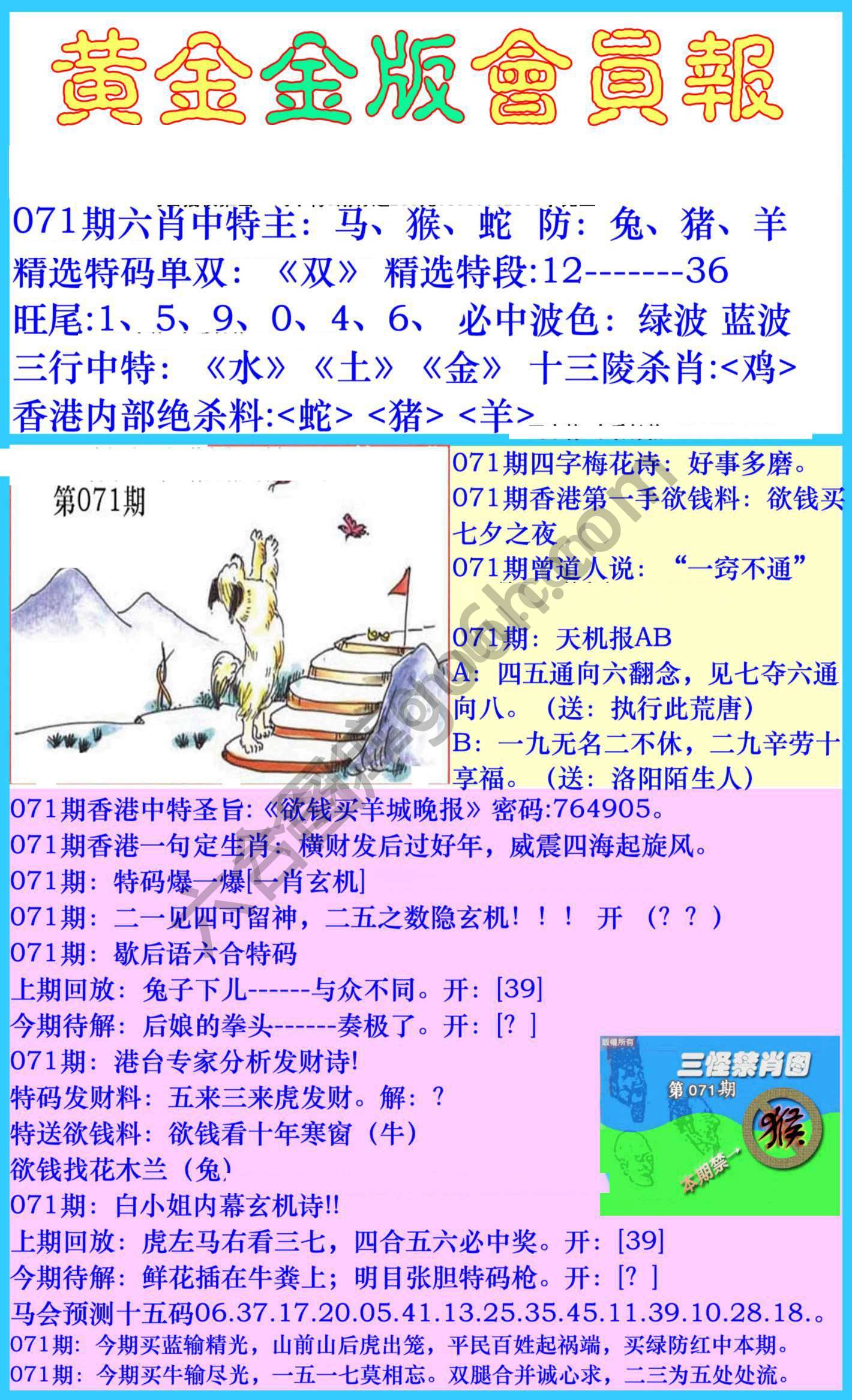 黄金金版会员报