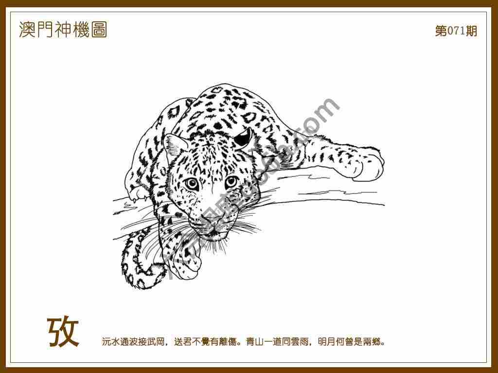 澳门神机图