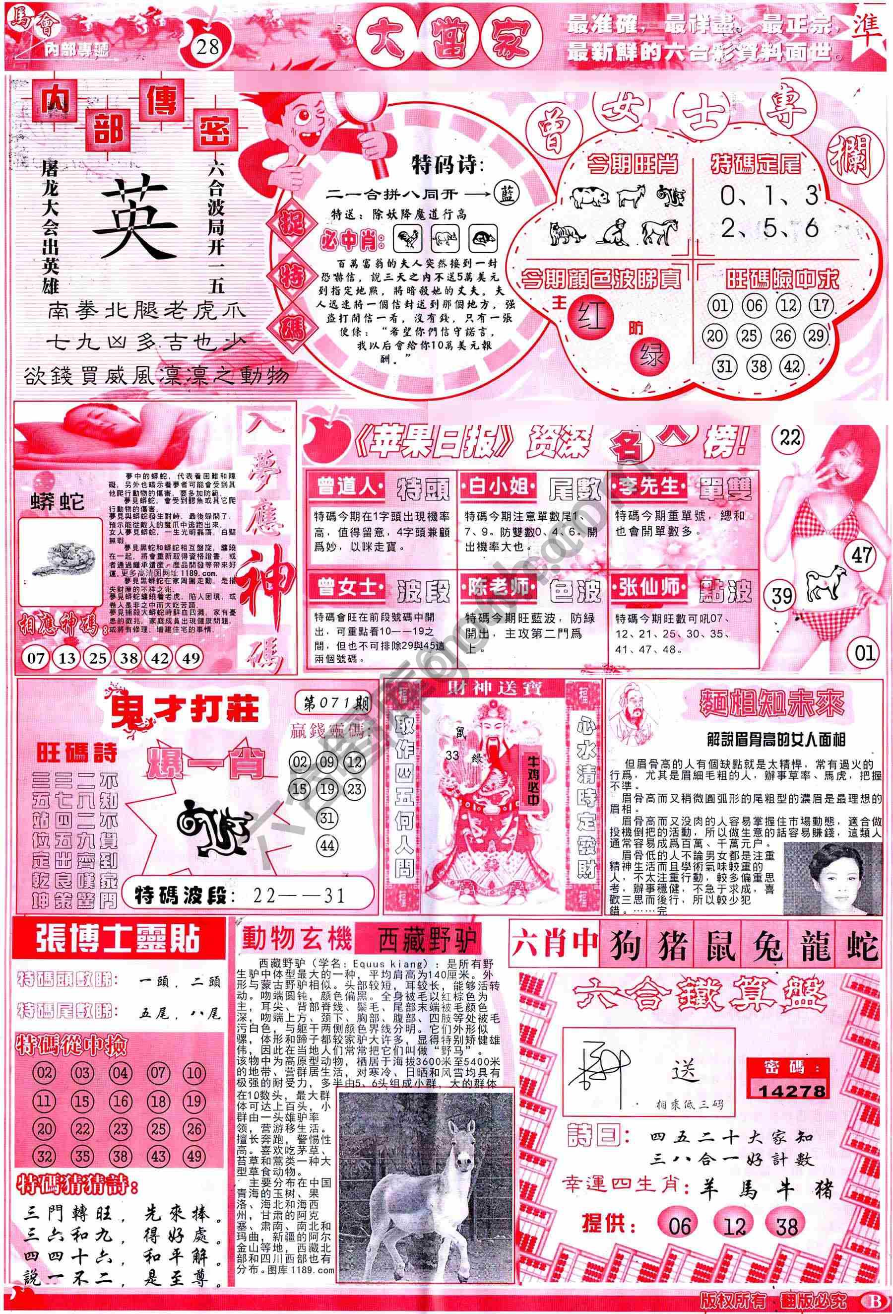 大当家