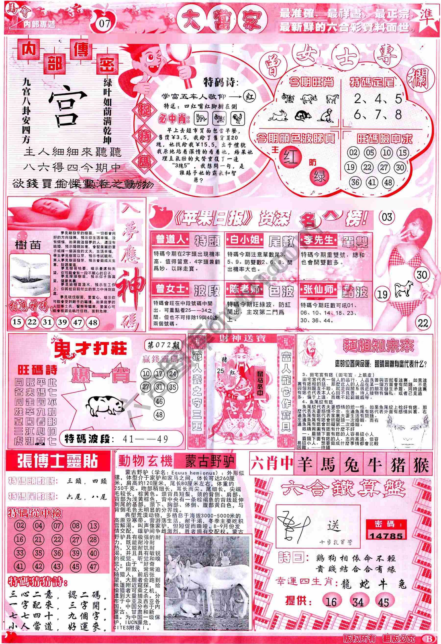 大当家