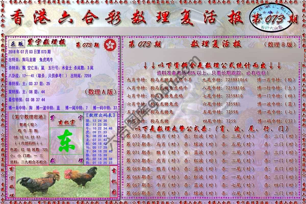 数理复活报