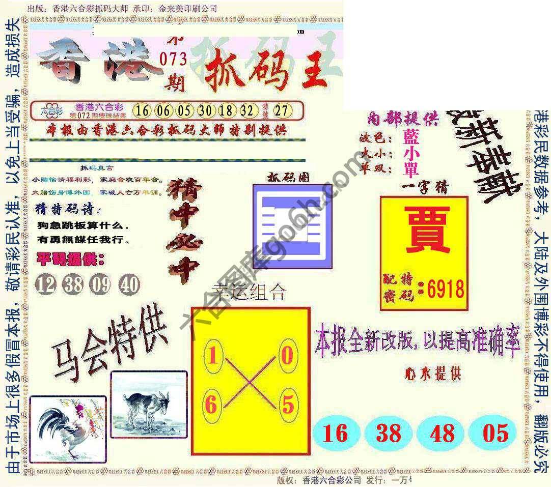新抓码王