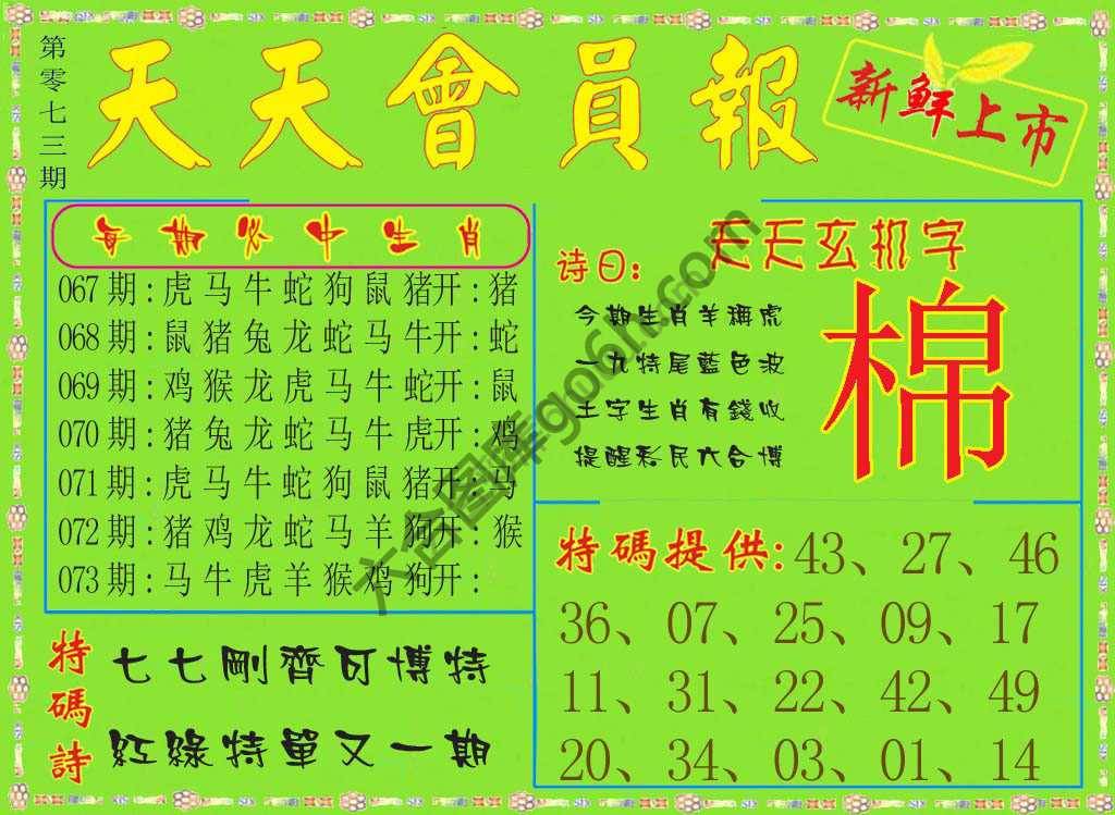 天天会员报