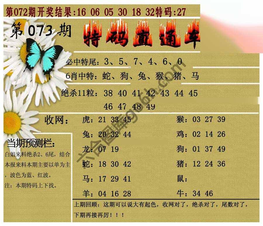 特码直通车