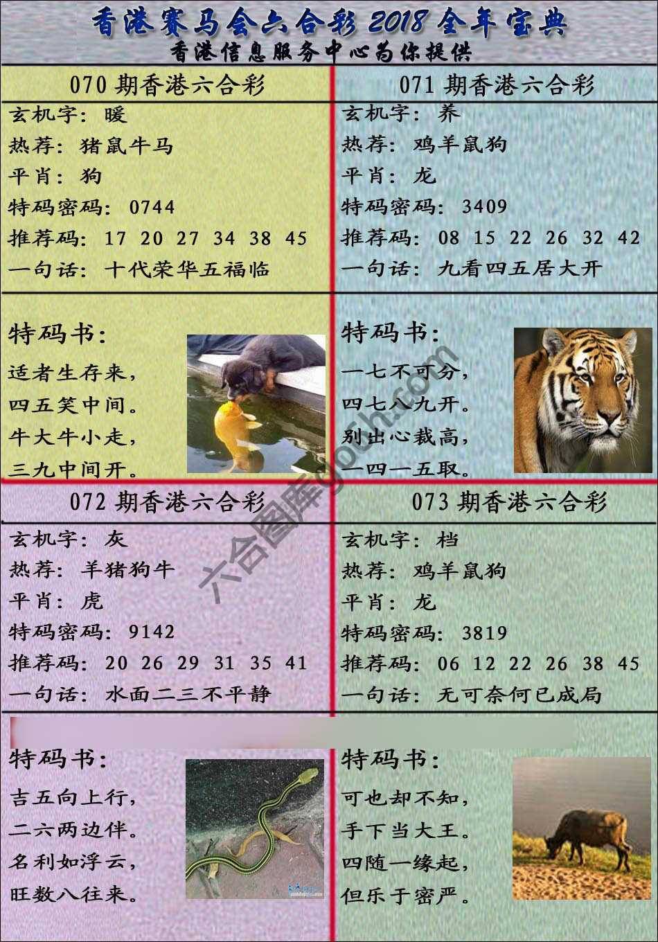 宝典报