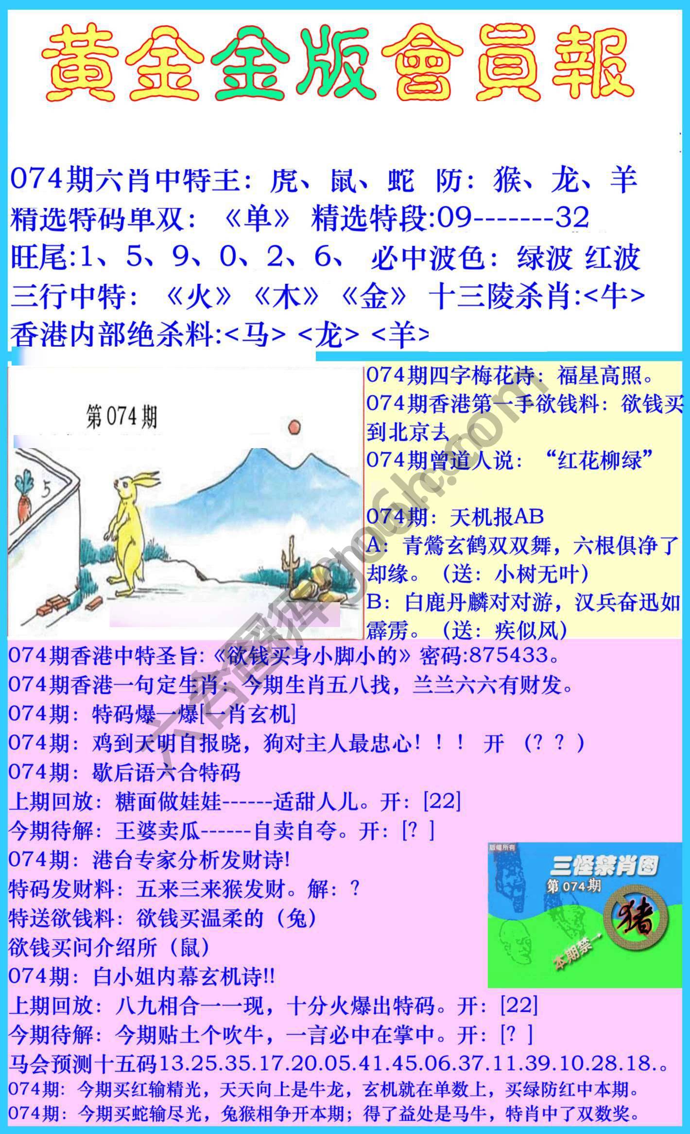 黄金金版会员报