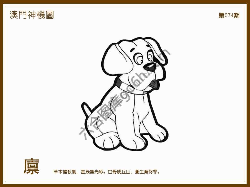 澳门神机图