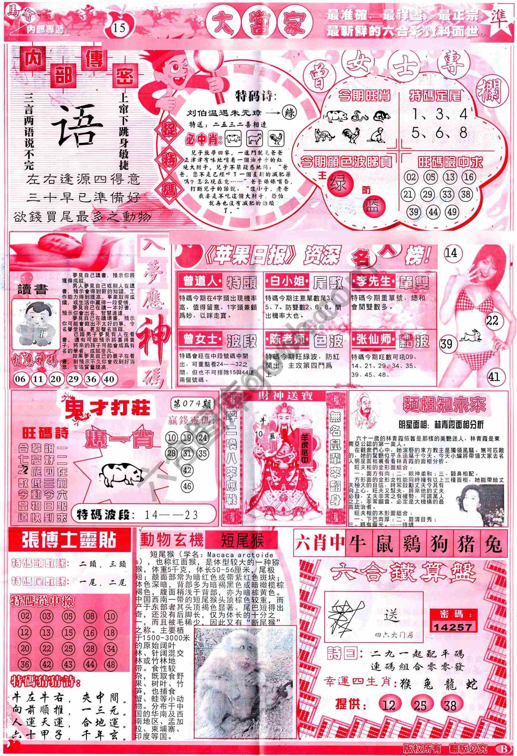 大当家