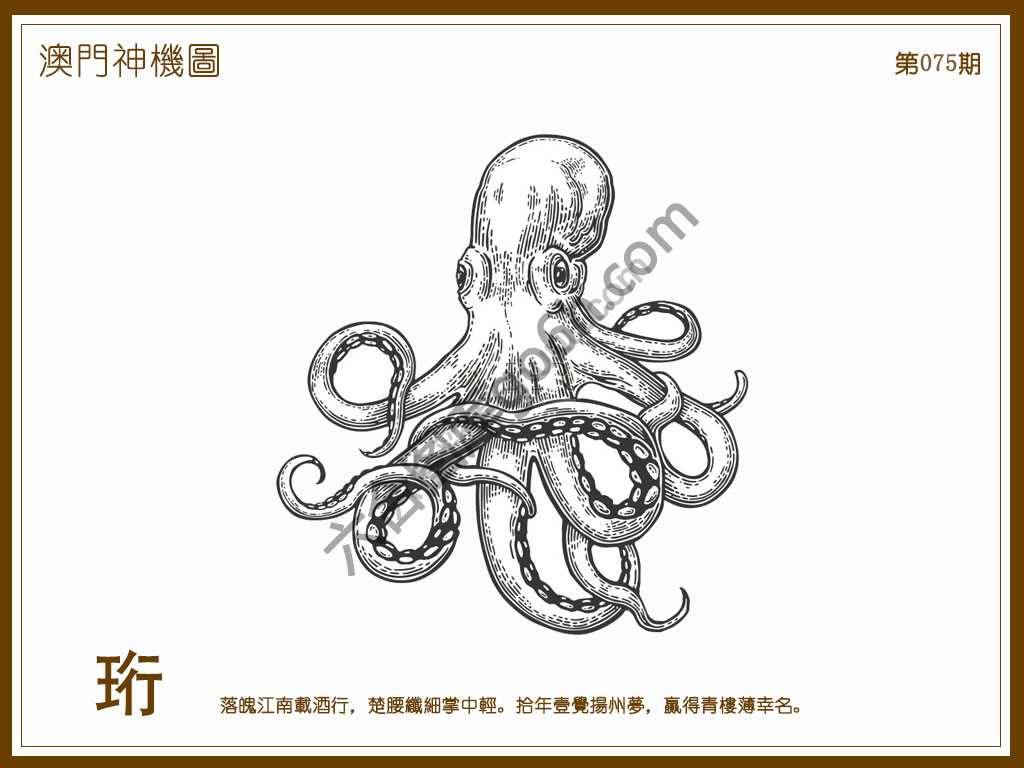 澳门神机图