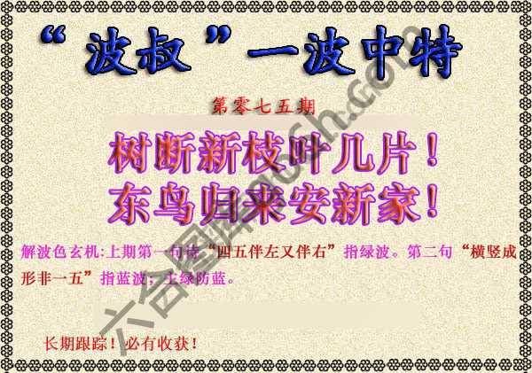 波叔一波中特
