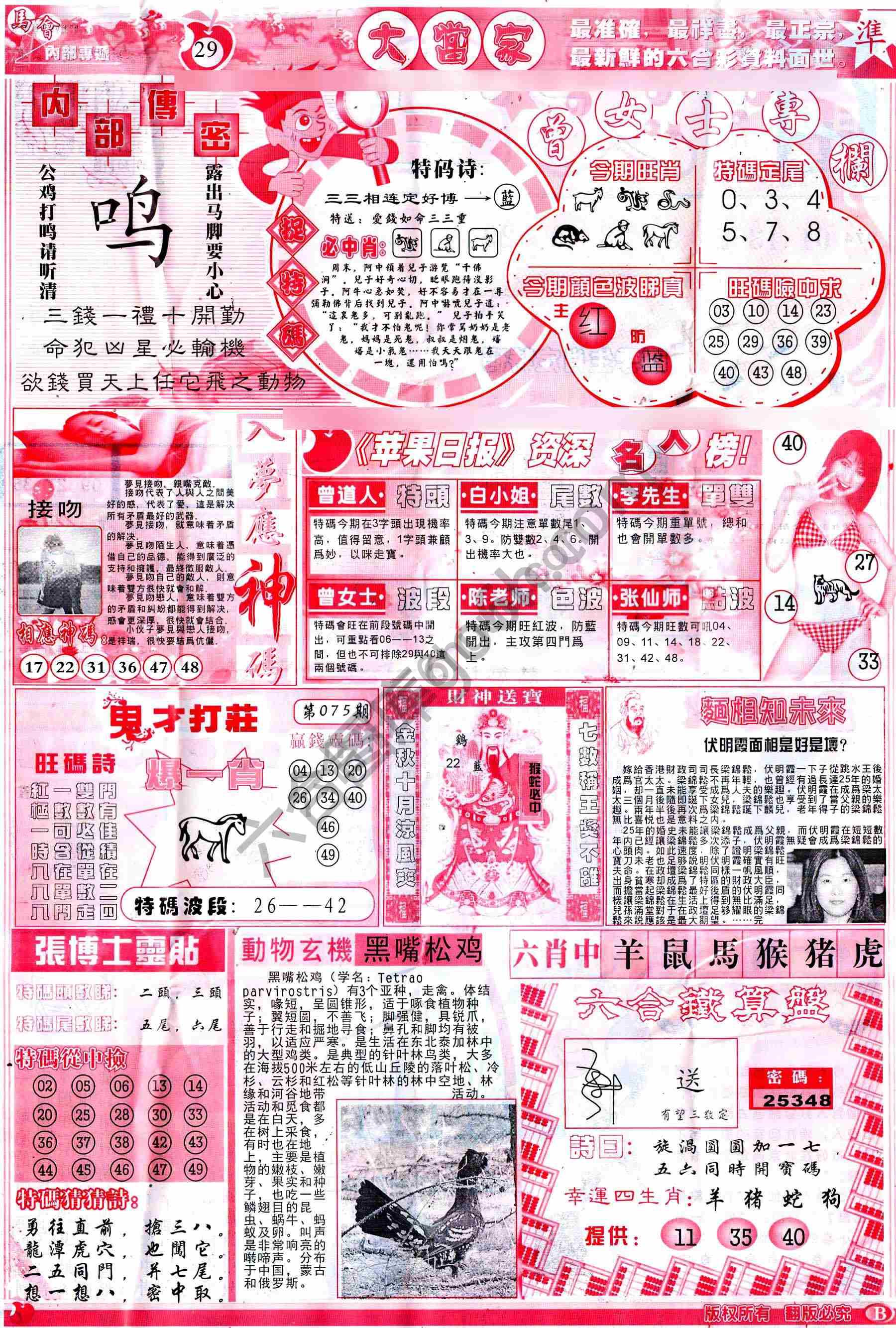 大当家