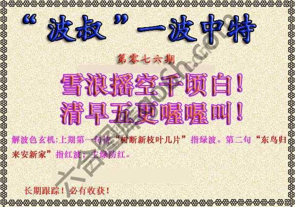 波叔一波中特