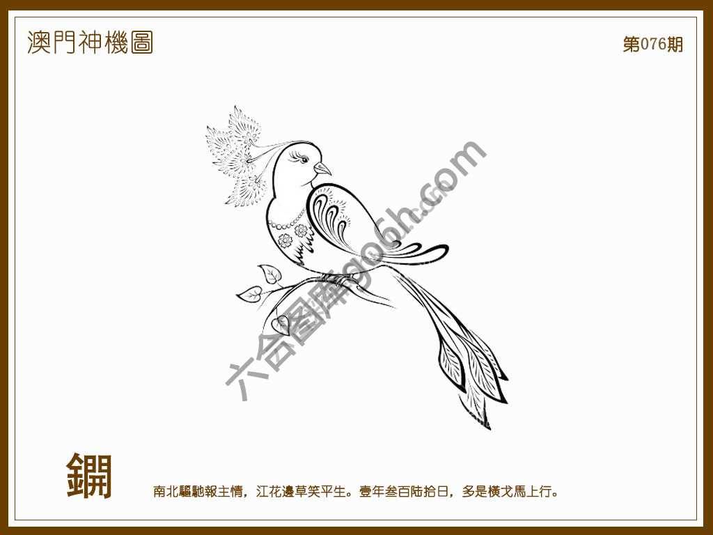 澳门神机图