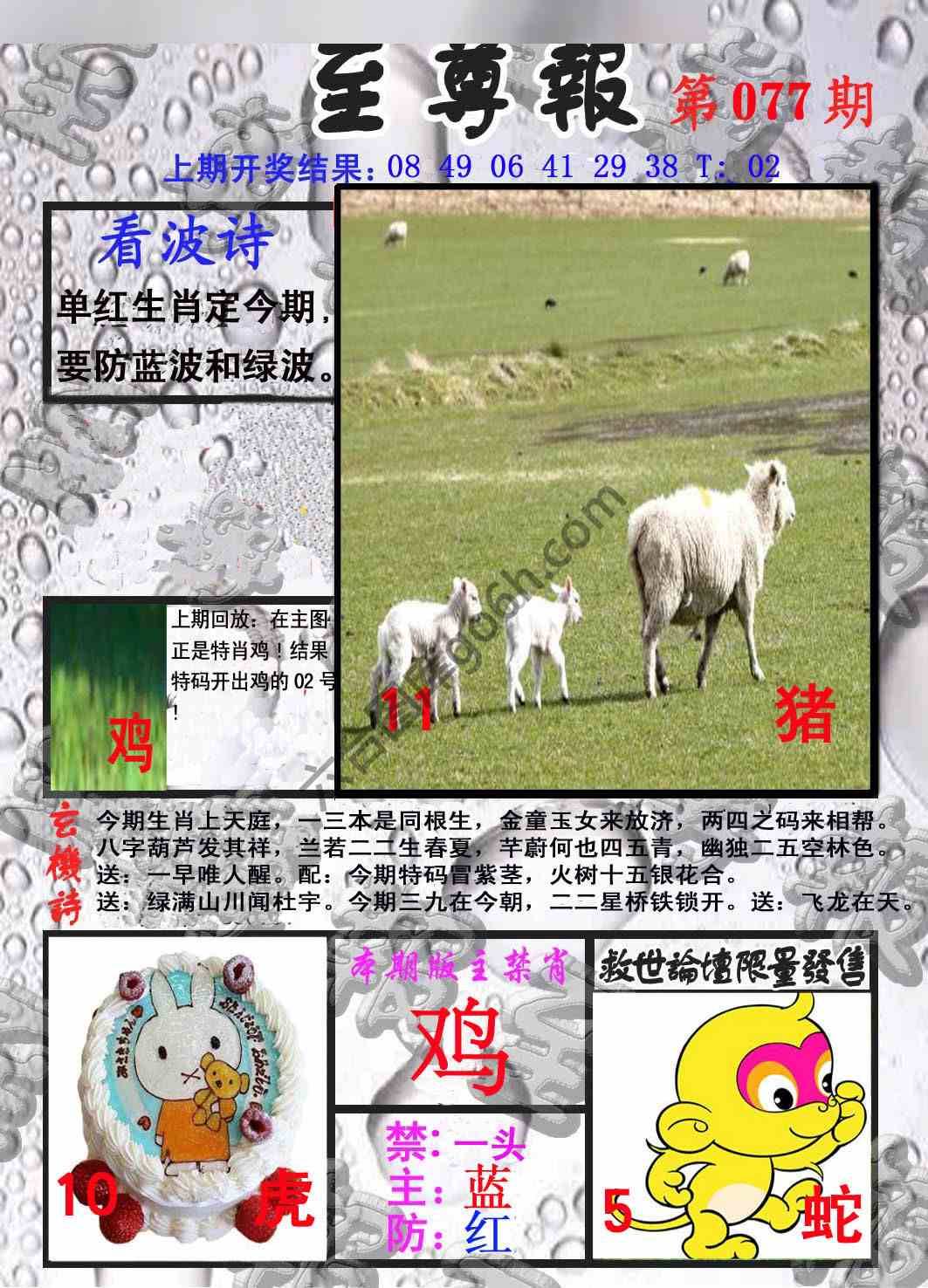 至尊报