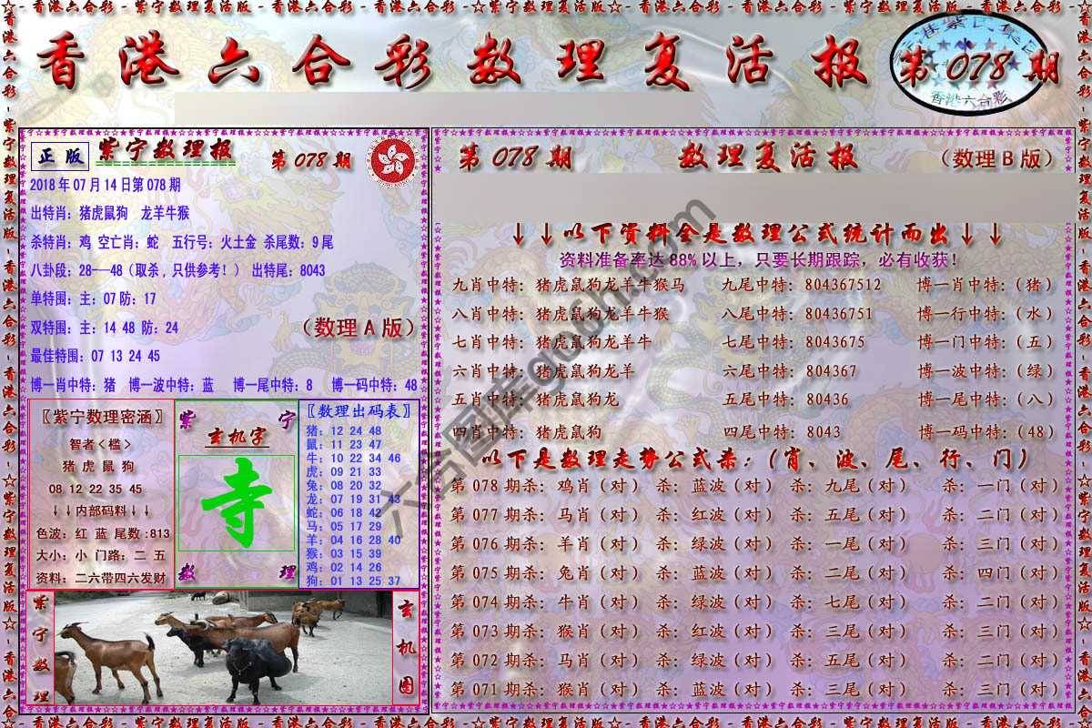 数理复活报