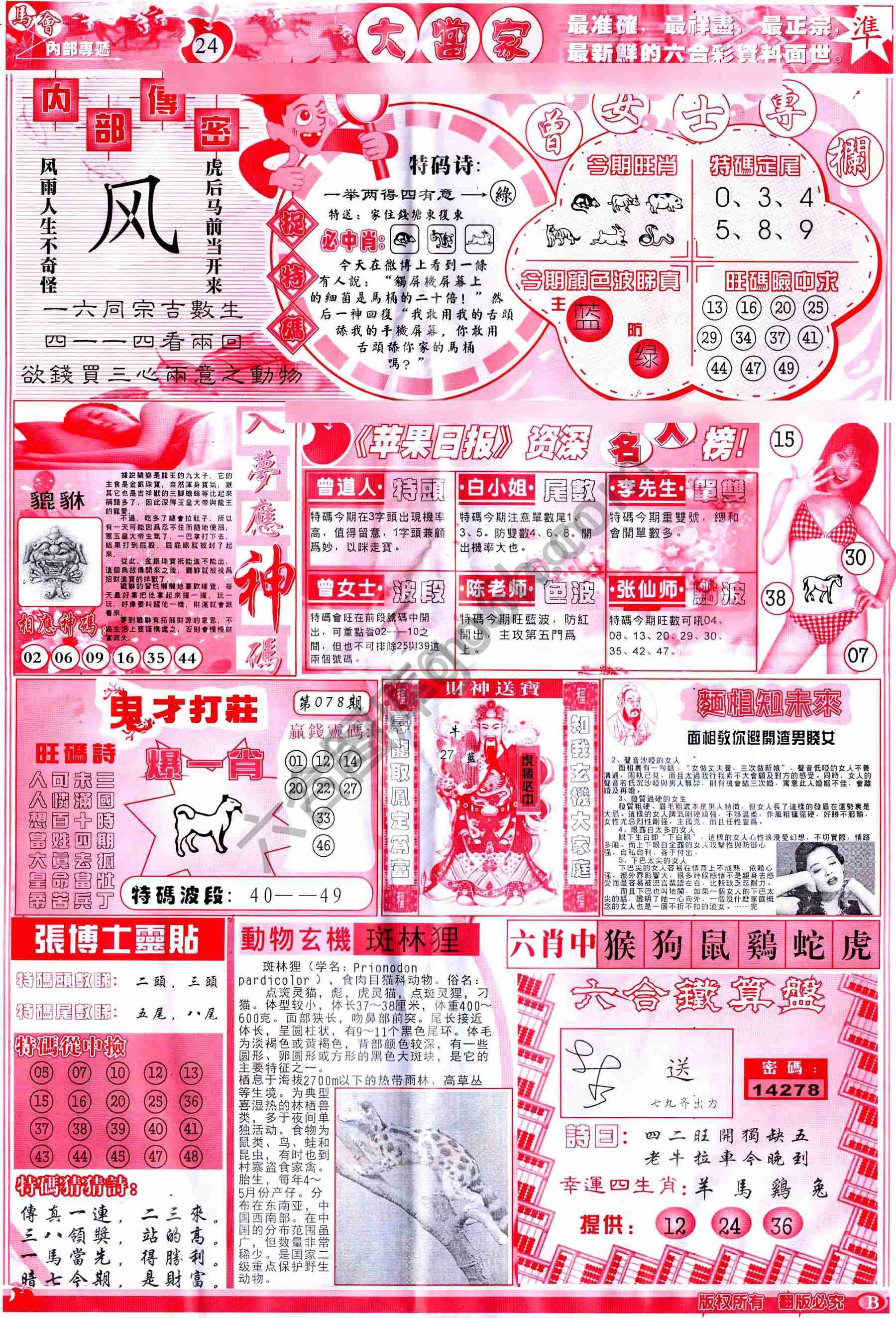 大当家