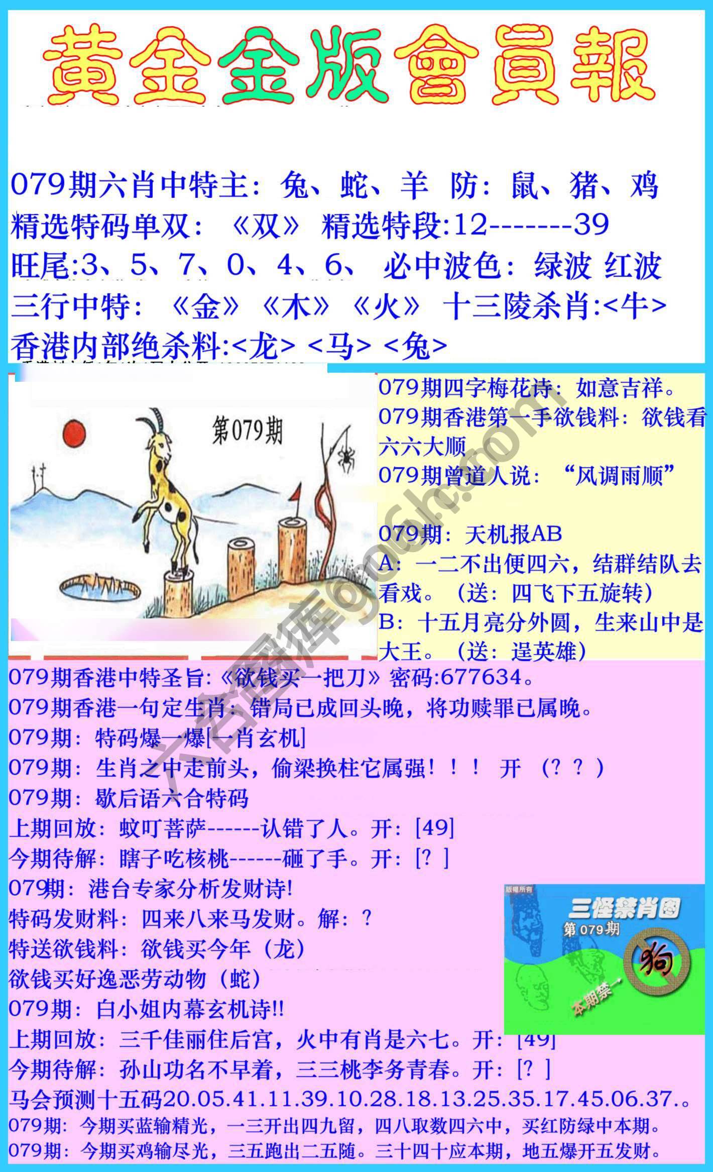 黄金金版会员报