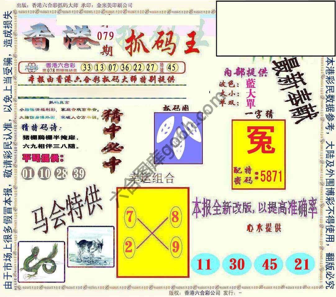 新抓码王